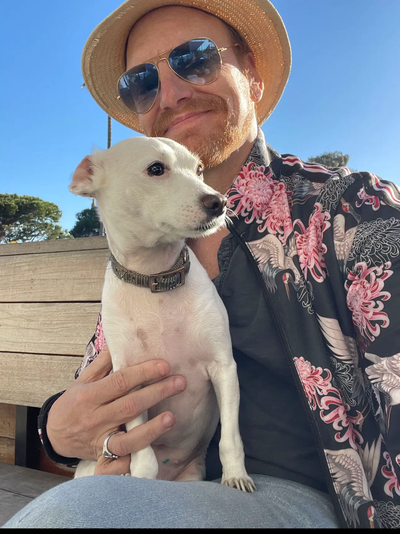 Chad Richardson enjoying Los Angeles with his dog